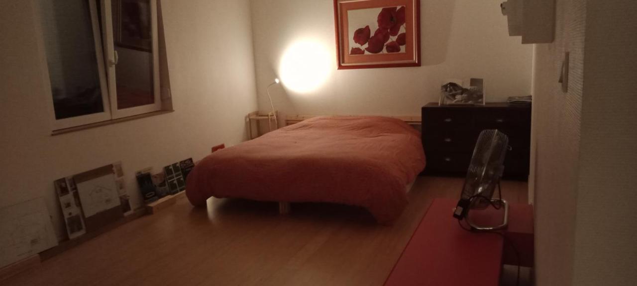 "Le Loft B Bg " Appartement Avec Terrasse G Friendly ستراسبورغ المظهر الخارجي الصورة